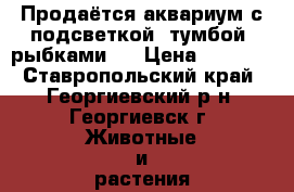 Продаётся аквариум с подсветкой, тумбой, рыбками.  › Цена ­ 3 000 - Ставропольский край, Георгиевский р-н, Георгиевск г. Животные и растения » Аквариумистика   